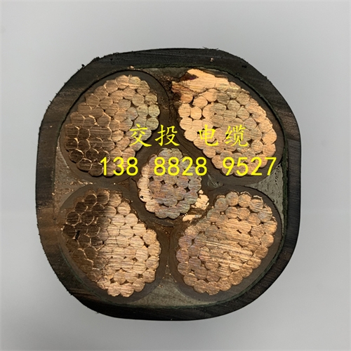 m.c4dtraining.com