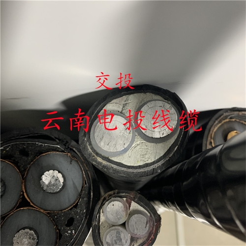m.c4dtraining.com