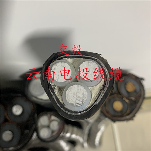 m.c4dtraining.com