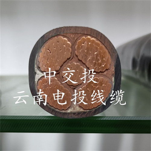 m.c4dtraining.com