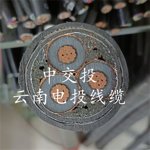 m.c4dtraining.com