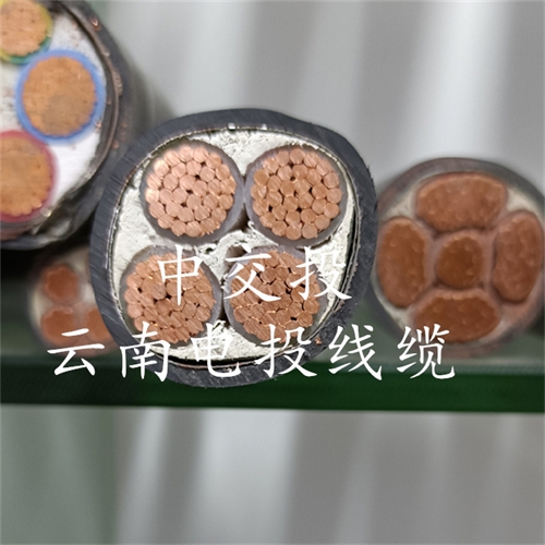 m.c4dtraining.com