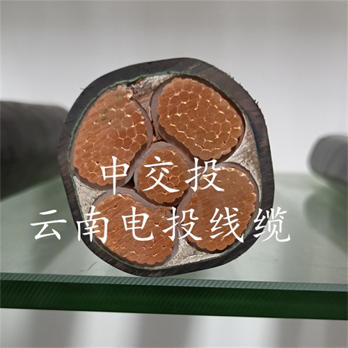 m.c4dtraining.com