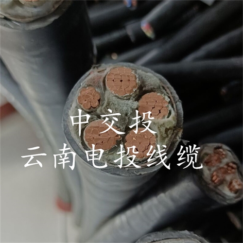 m.c4dtraining.com