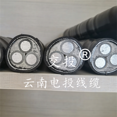 m.c4dtraining.com