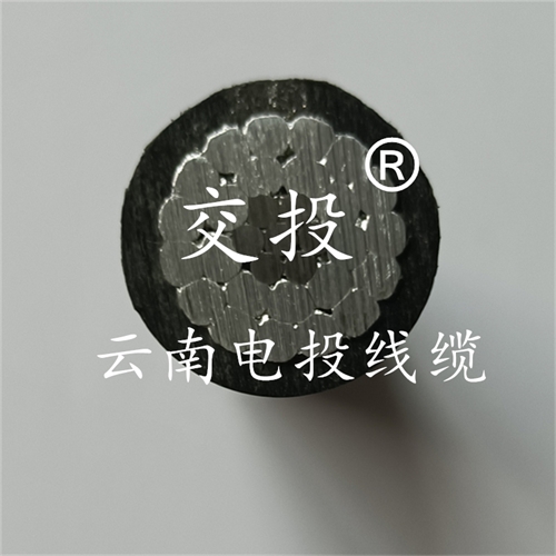 m.c4dtraining.com